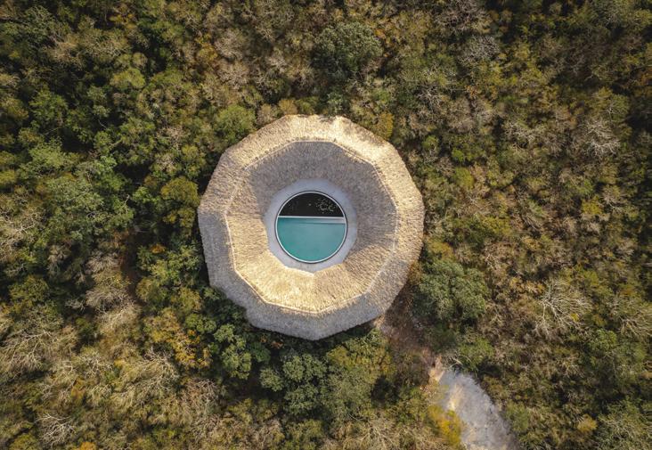 Reverencia a la naturaleza