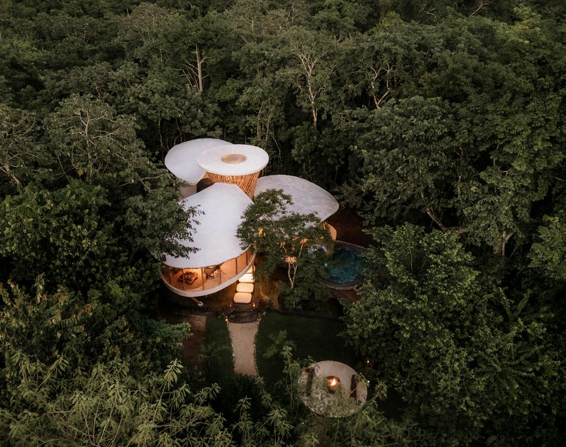 The Trillium by Awakening