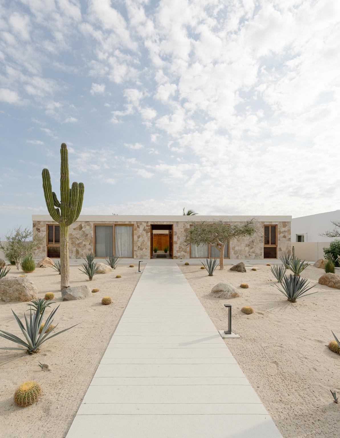 Entre el desierto y el océano