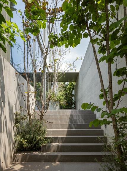 Una casa entre reflejos y vegetación