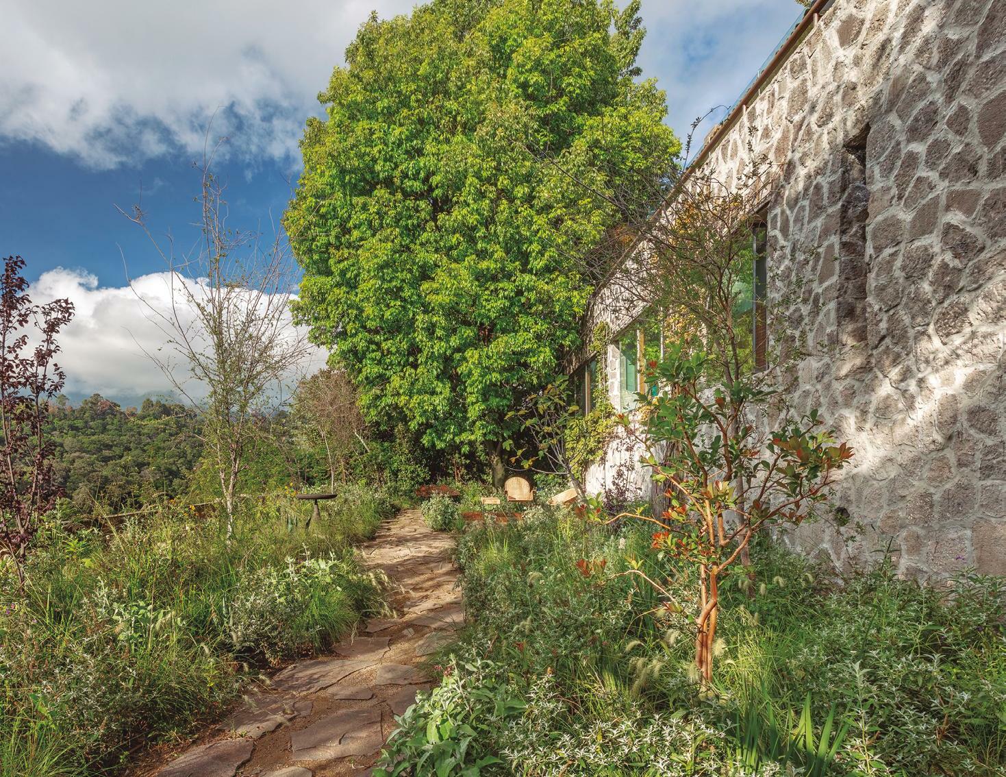 NATURALEZA QUE CONVERGE