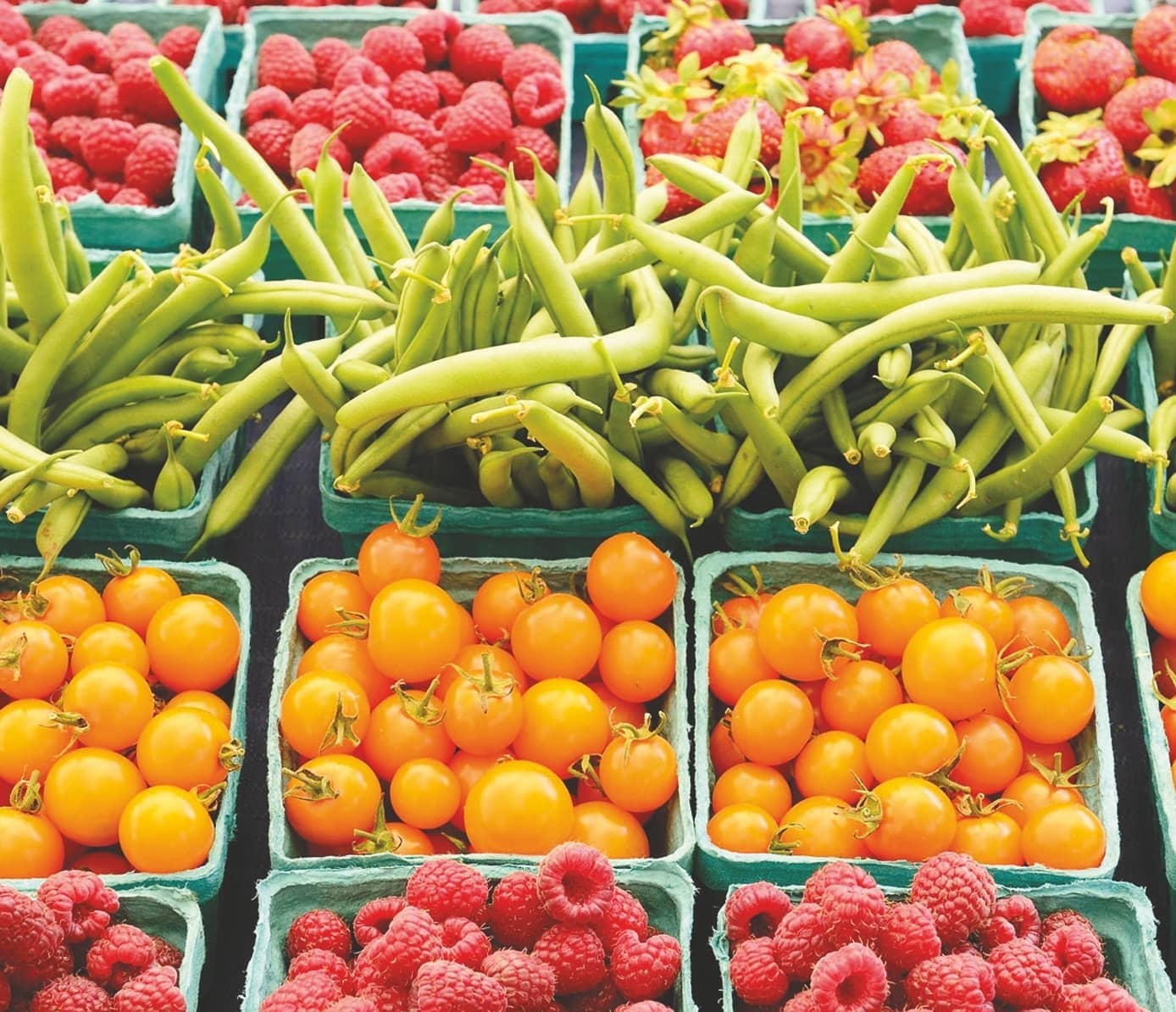 Bumper Production Without The Necessary Movement Of Crops Will Not