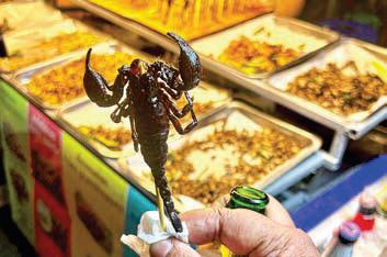 ব্যাঙ্কক in Every Bite!
