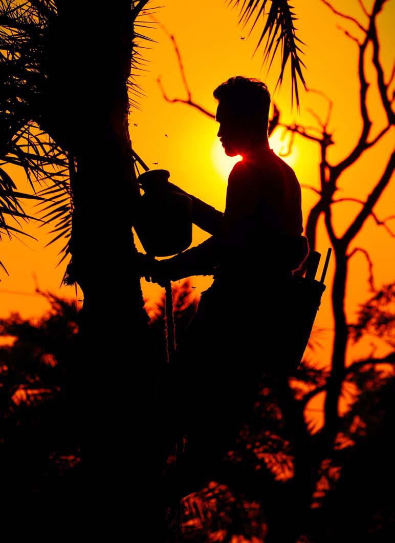 বাংলা শীতের খেজুরে আলাপ