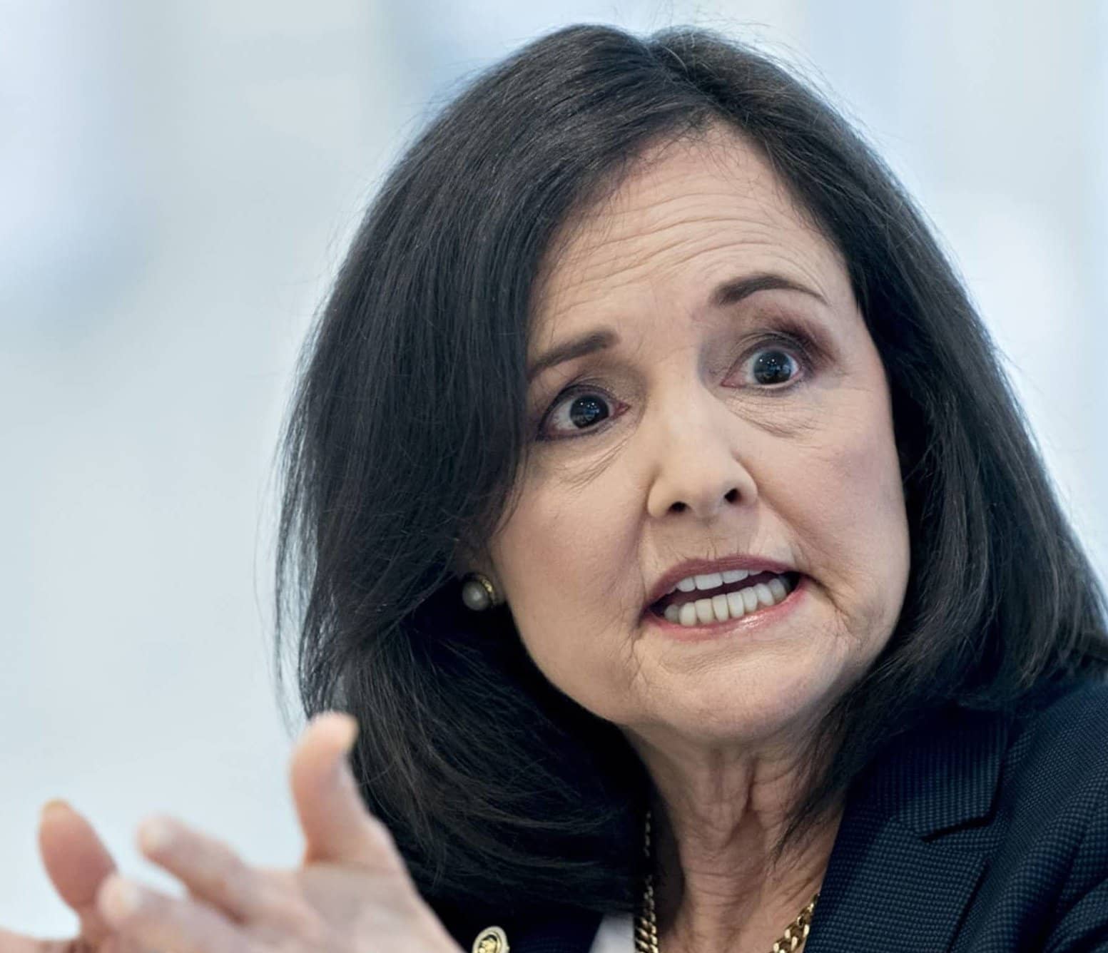 TRUMP FED NOMINEE SHELTON PROMISES ‘INTELLECTUAL DIVERSITY'