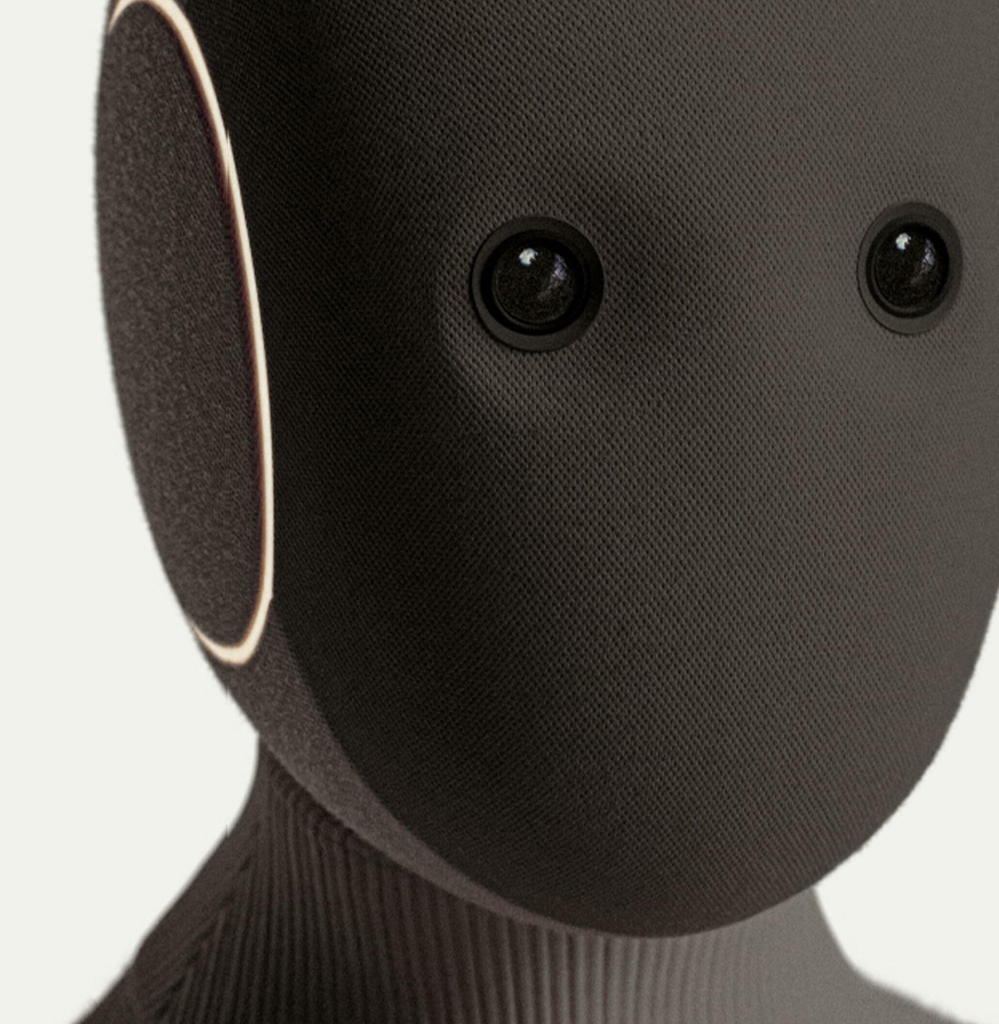 Robots