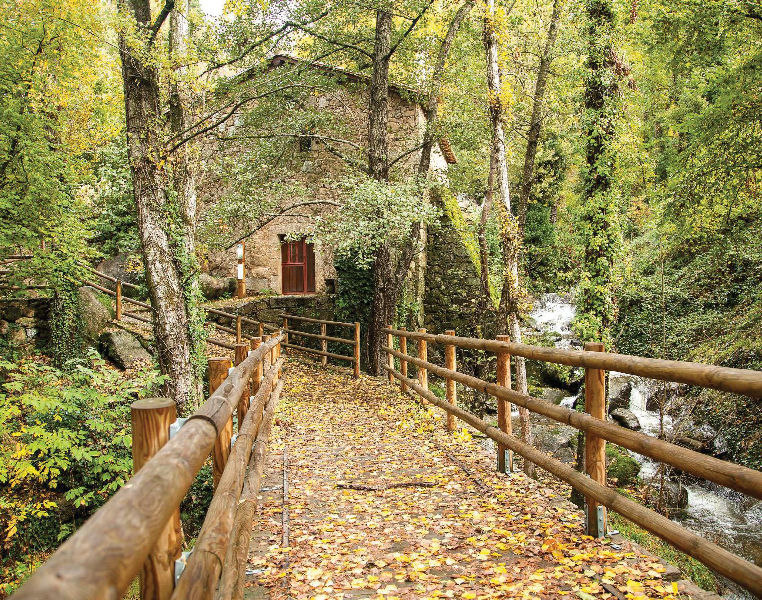 ESCAPADAS DE OTOÑO