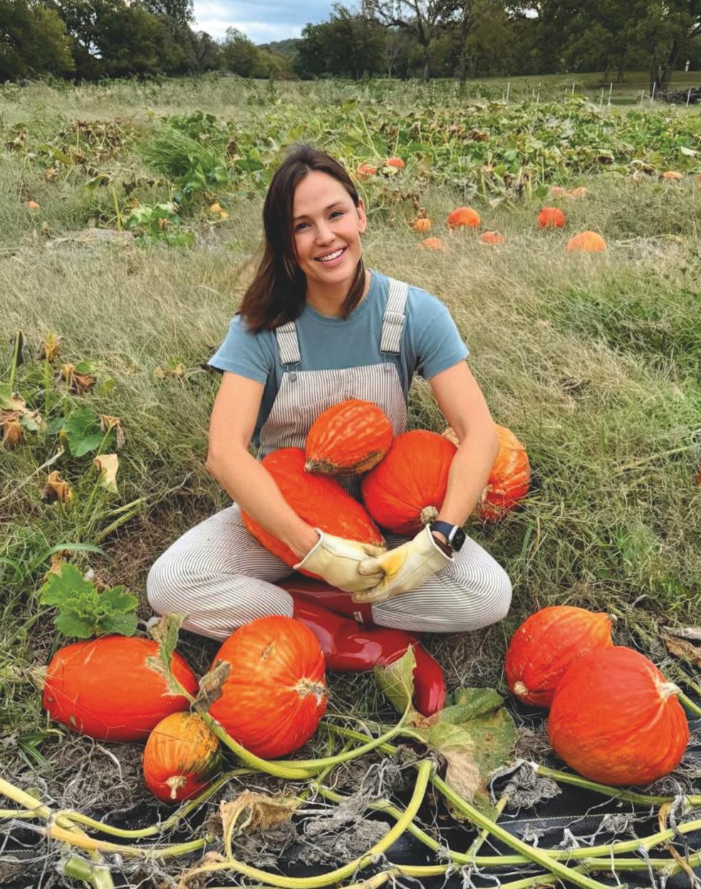 UN DÍA ENTRE CALABAZAS