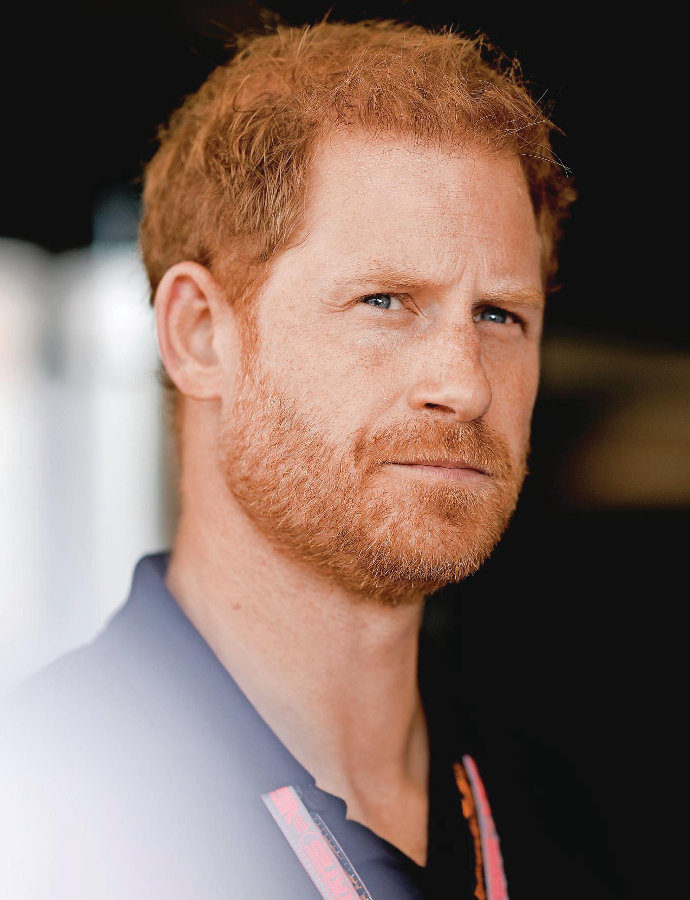 HARRY'S FIGHT FOR HIS FAMILY GOES ON