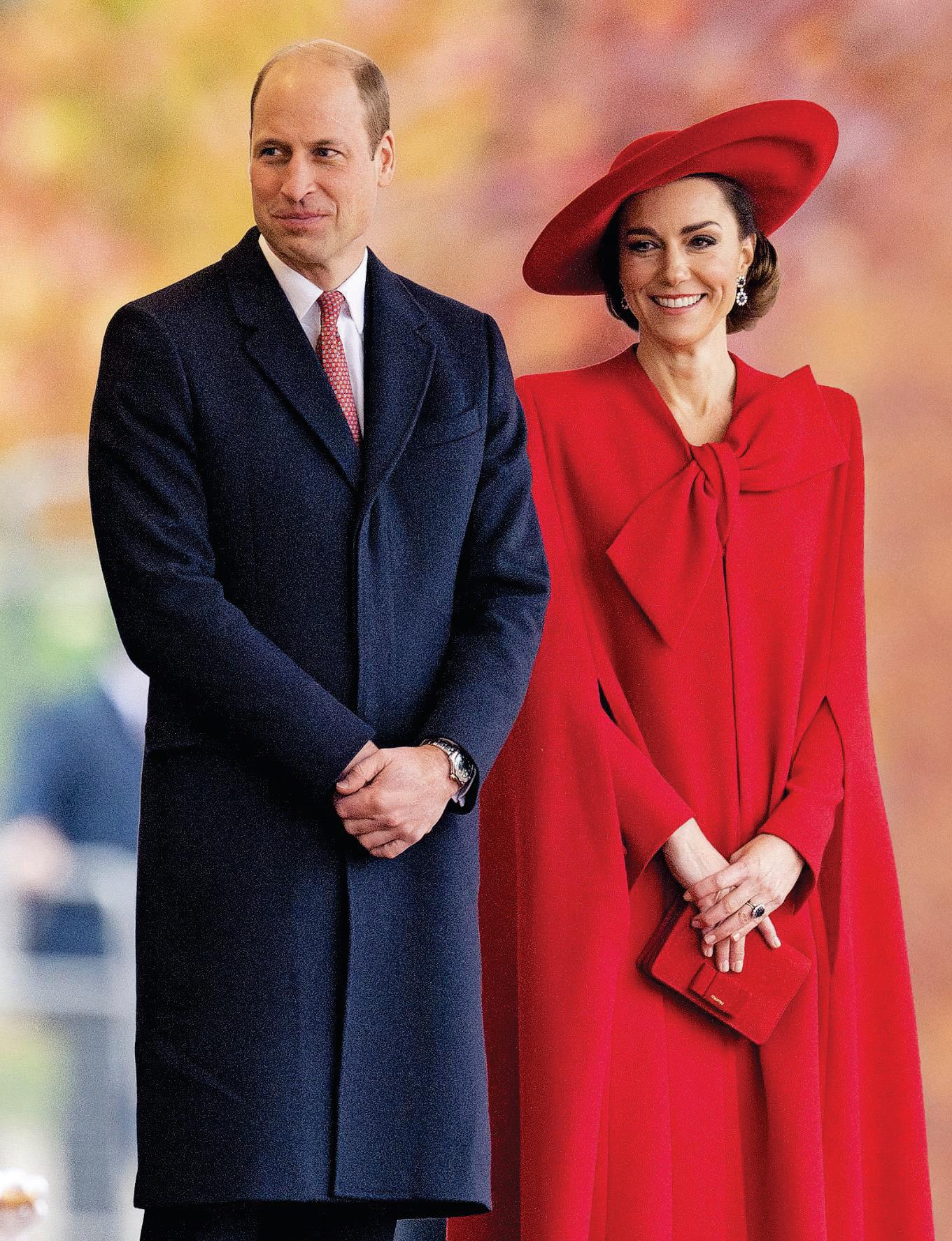 ROYAL INSIGHTS