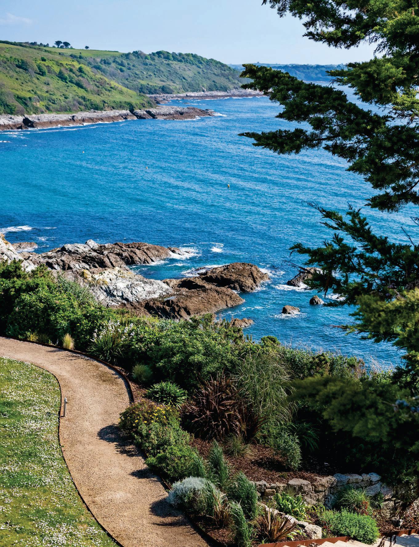 Cornwall DREAMING