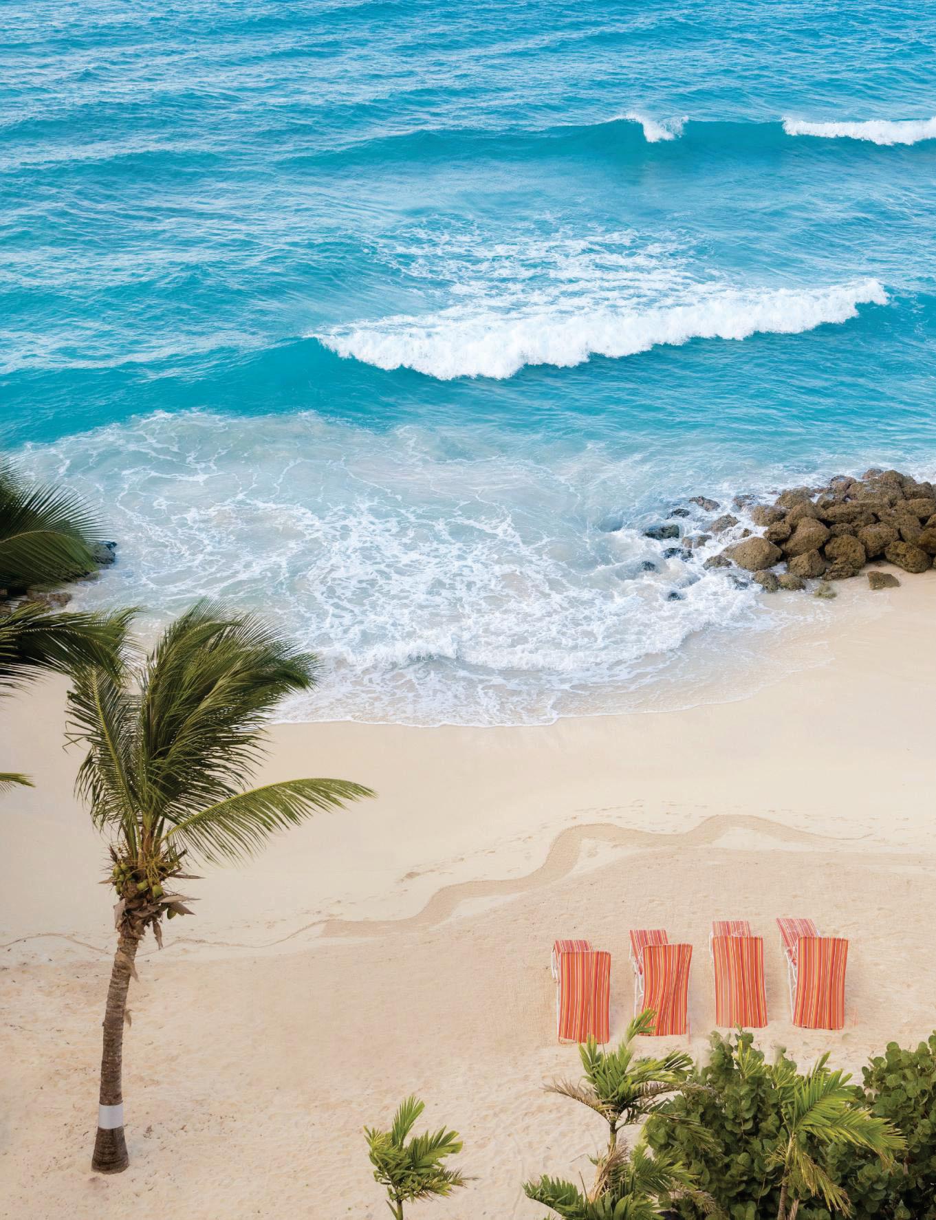 Paradise found for families