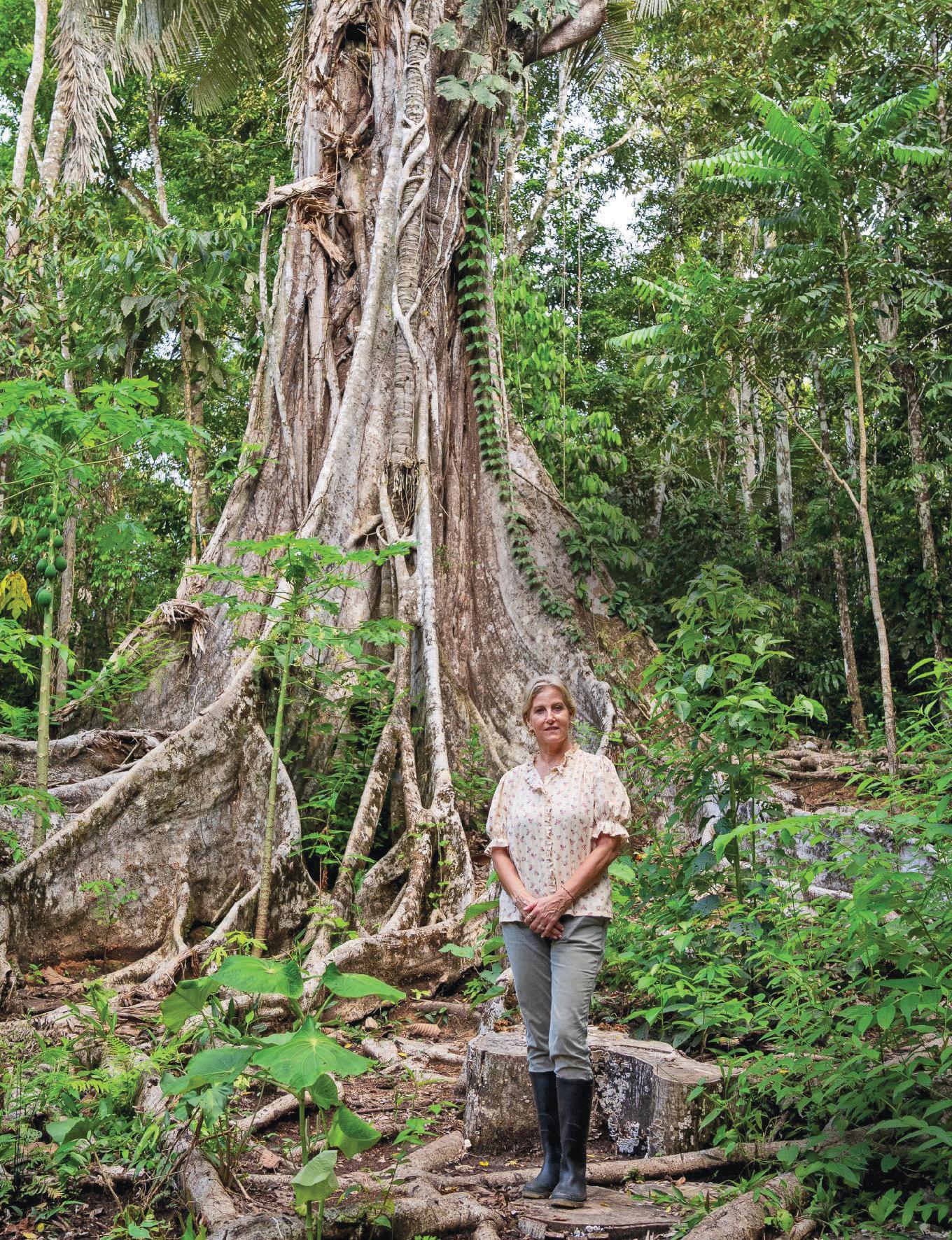 WALKABOUT ON THE WILD SIDE
