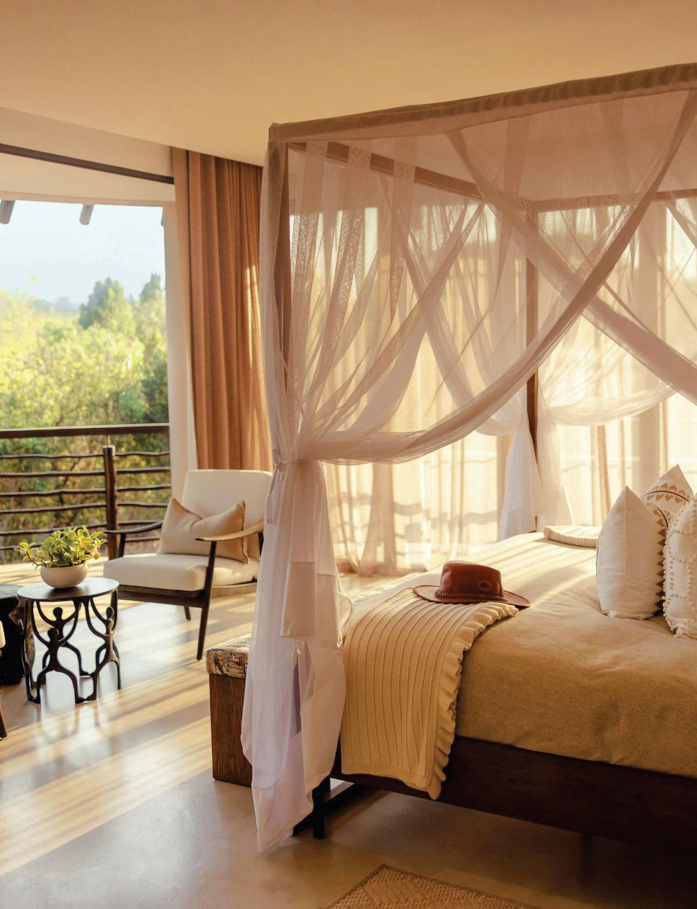 THE SAFARI SOUTH AFRICA