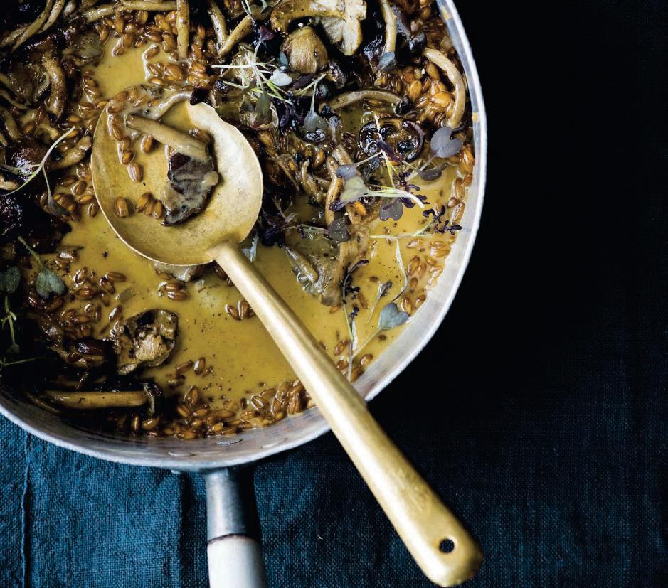 MATCHA MUSHROOM SPELT RISOTTO