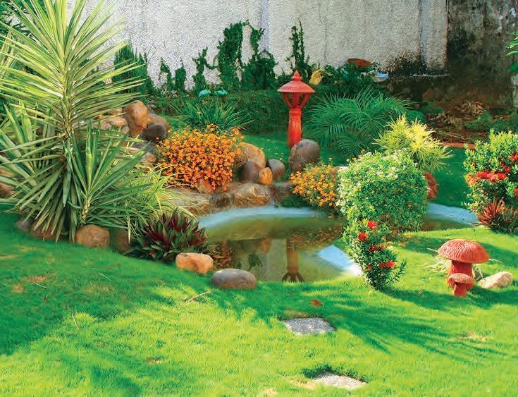 കീശ കാലിയാകാതെ ഒരുക്കാം പൂന്തോട്ടം