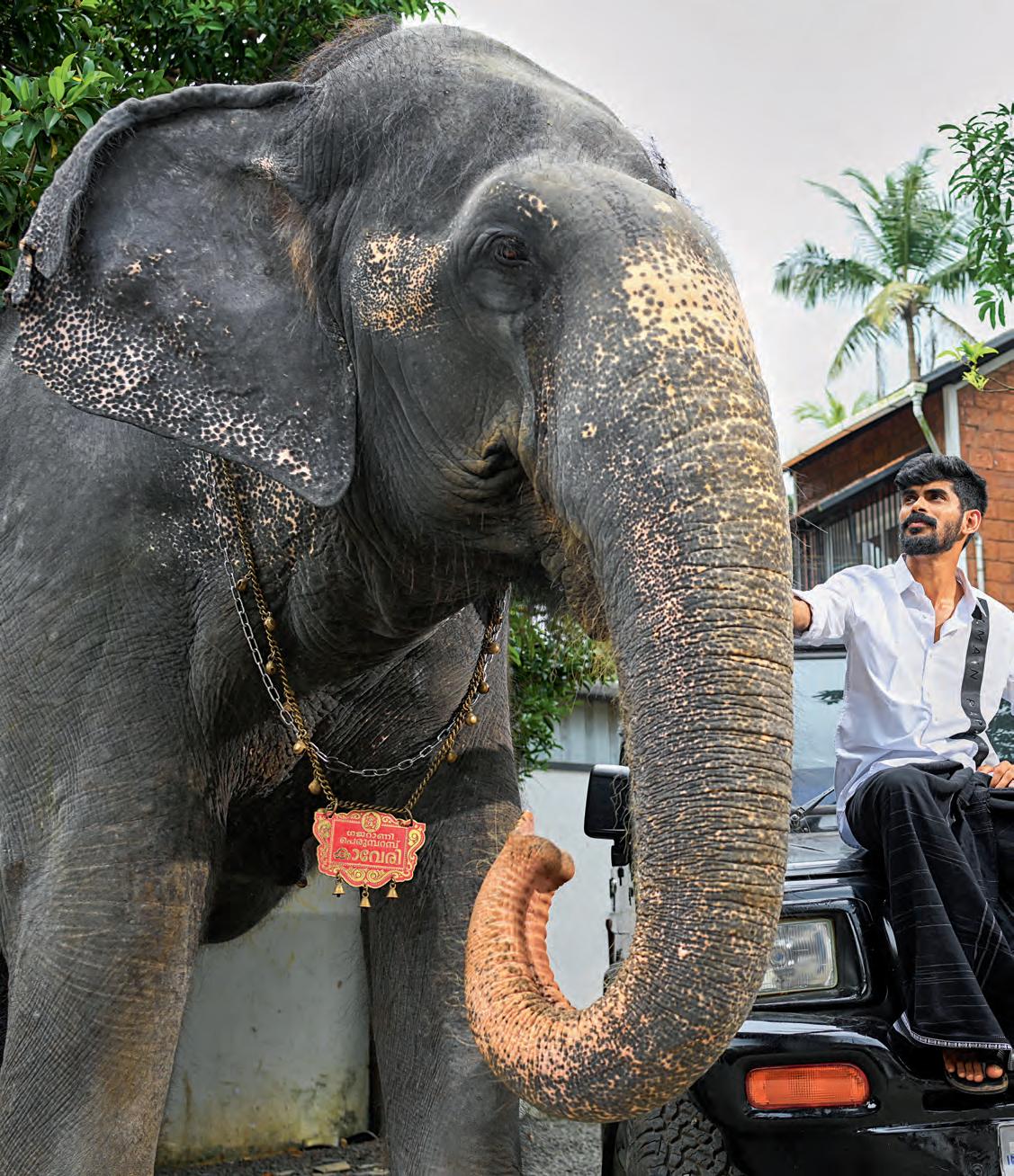 ഇക്കാന്റെ സ്വന്തം കാവേരി