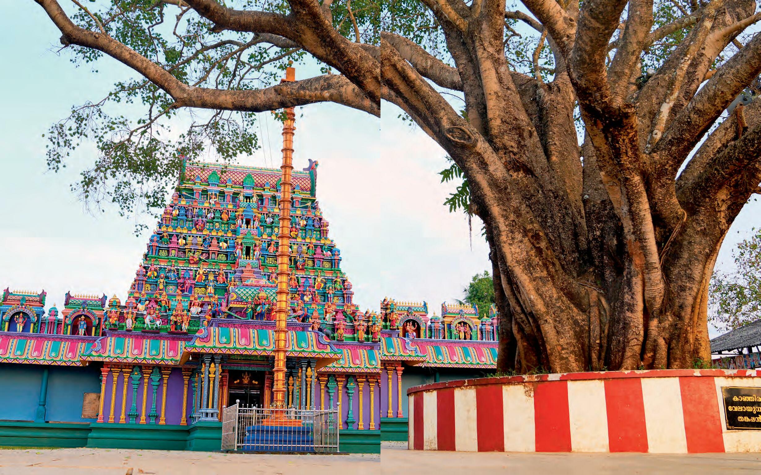 വേൽ മുരുകാ വേലായുധാ