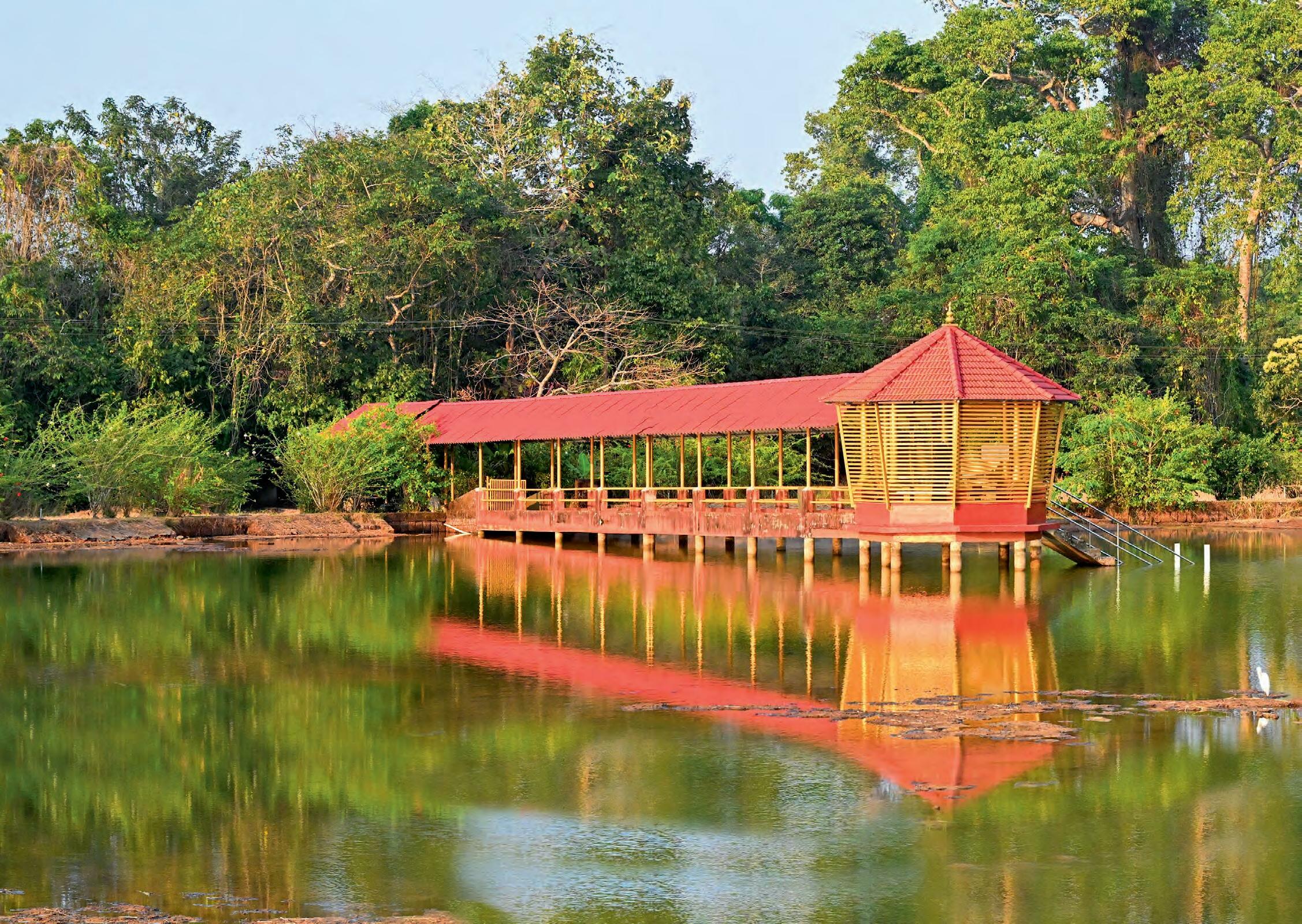 അടുക്കത്തെ ആമയൂട്ട്