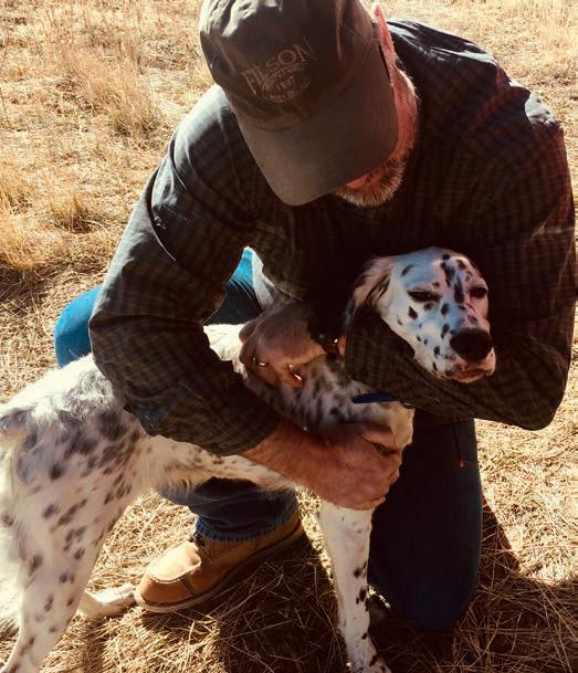 Hunting Dog Hypoglycemia