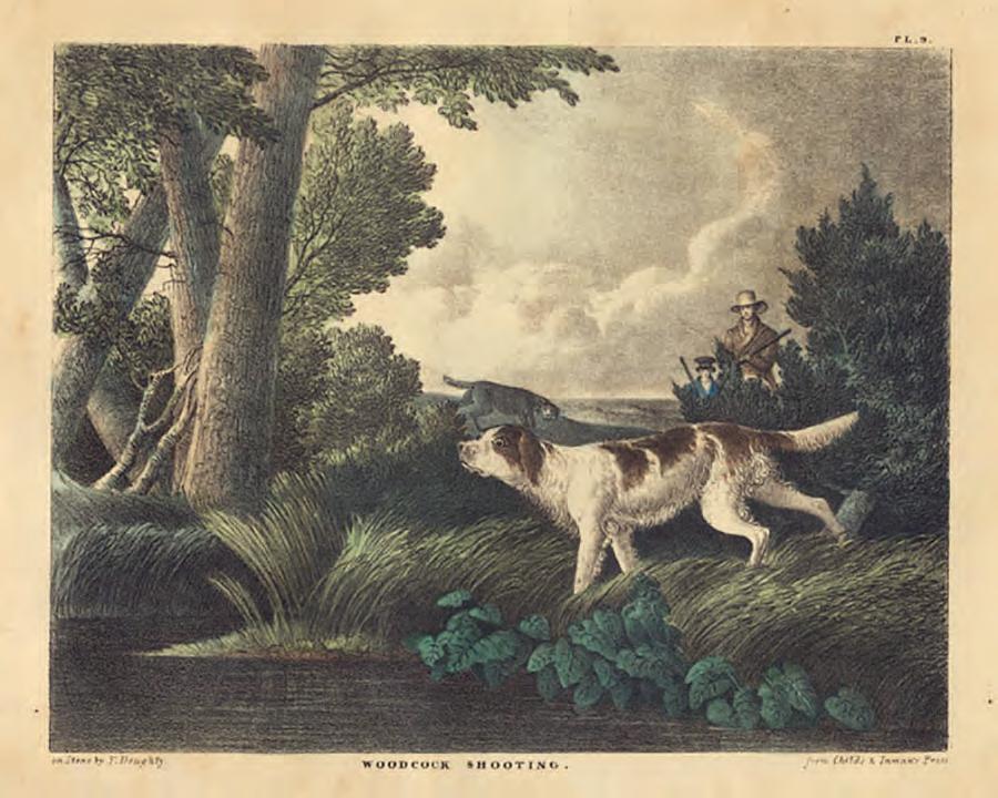 Everything Old Is New Again: Hunting Woodcock in Words