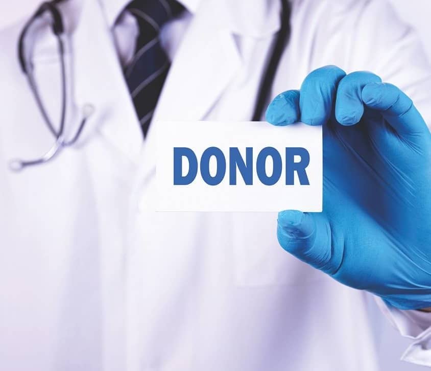 Organ Donations and Other Adventures at the DMV