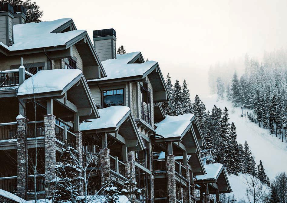 POWDER POWER