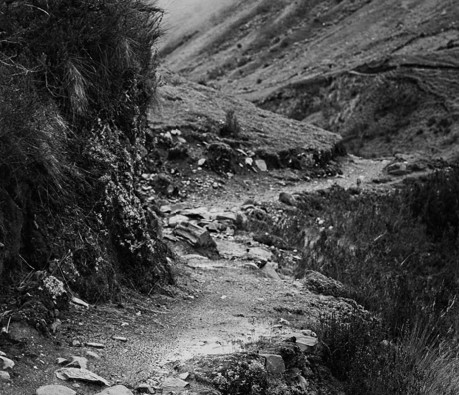 THE LAST OF THE INCAS