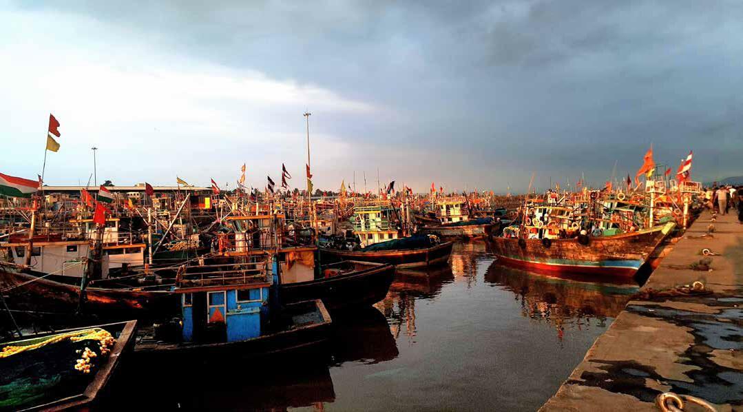 From Coastal Hamlet to International Port The Time Tells a Tale