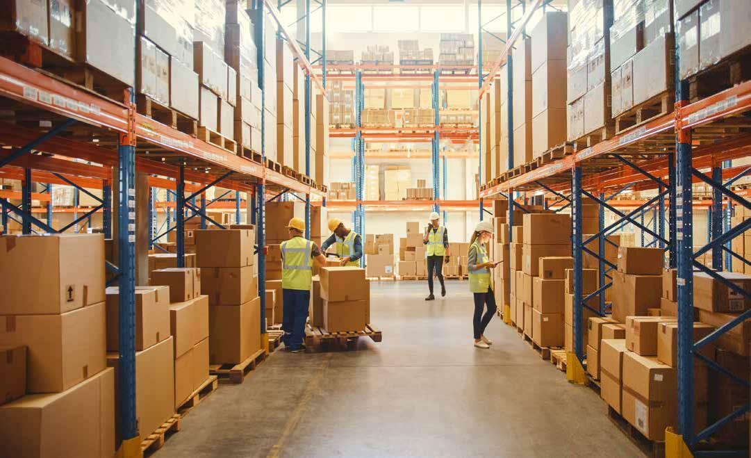 Sustainability Practices and Their Significance in the Nutraceutical Industry