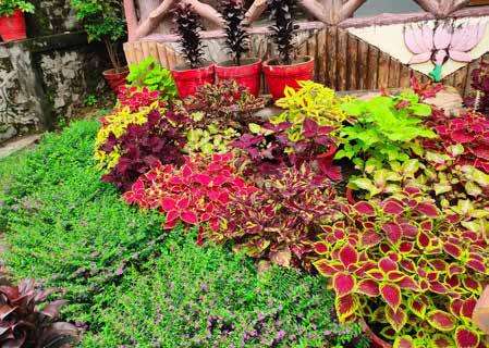 Staying Connected with Nature With Our Daily Routines and Lifestyle