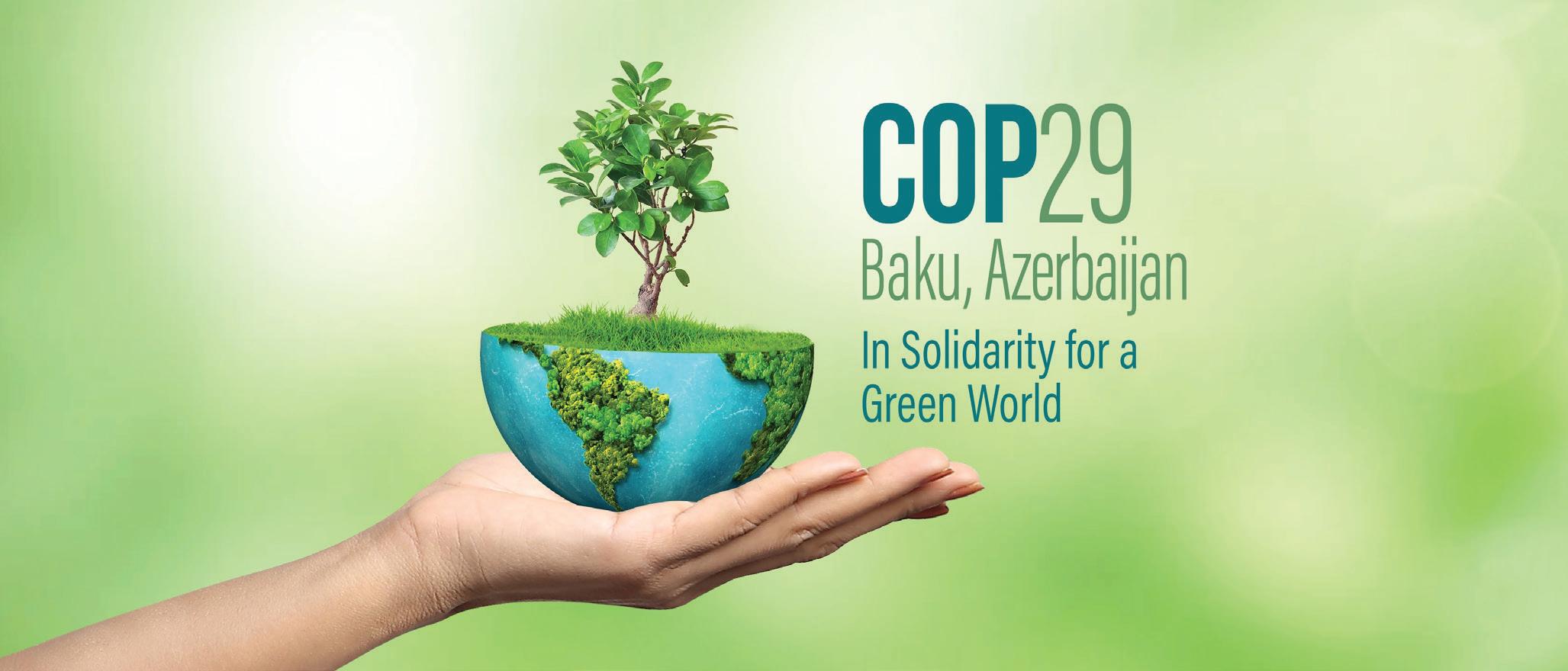 India's Roadmap to COP33 Rethinking Climate Finance Post-COP29