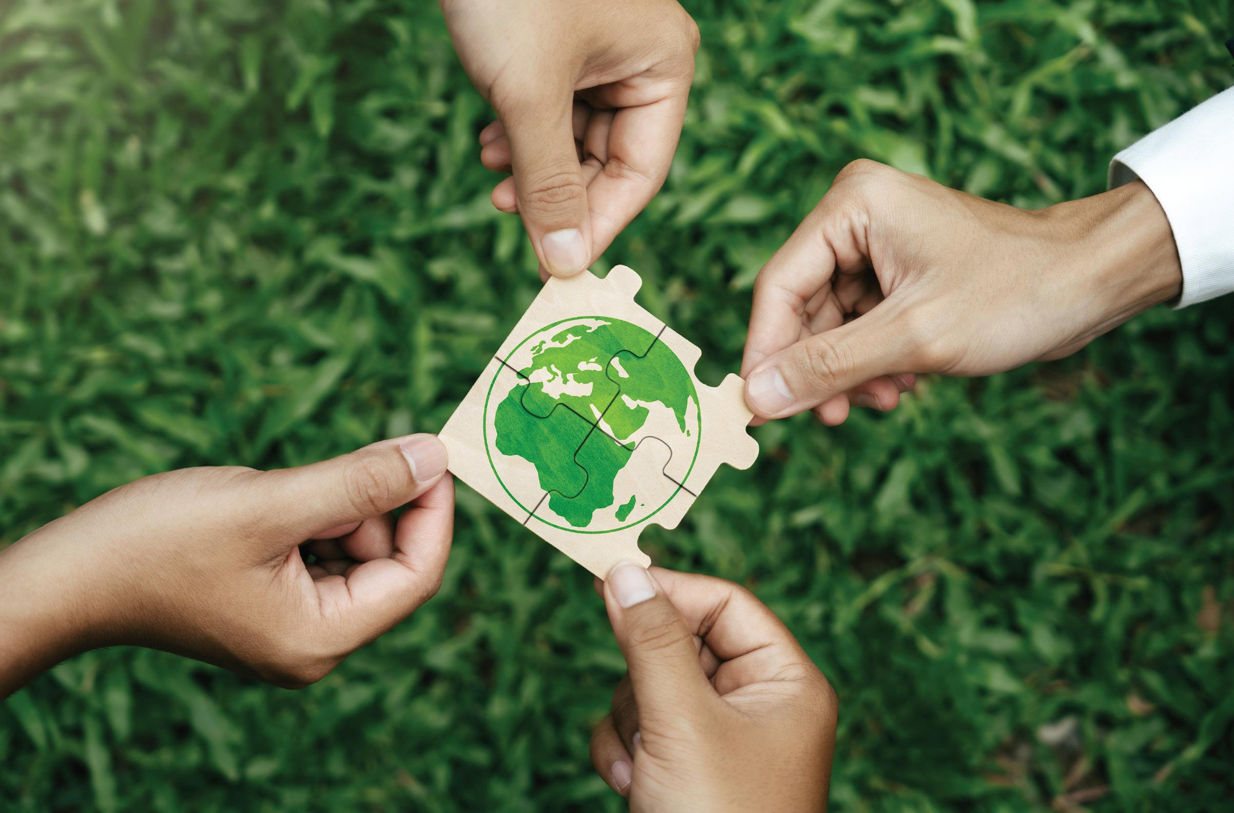 'Climate Mitigation Not A Cakewalk'