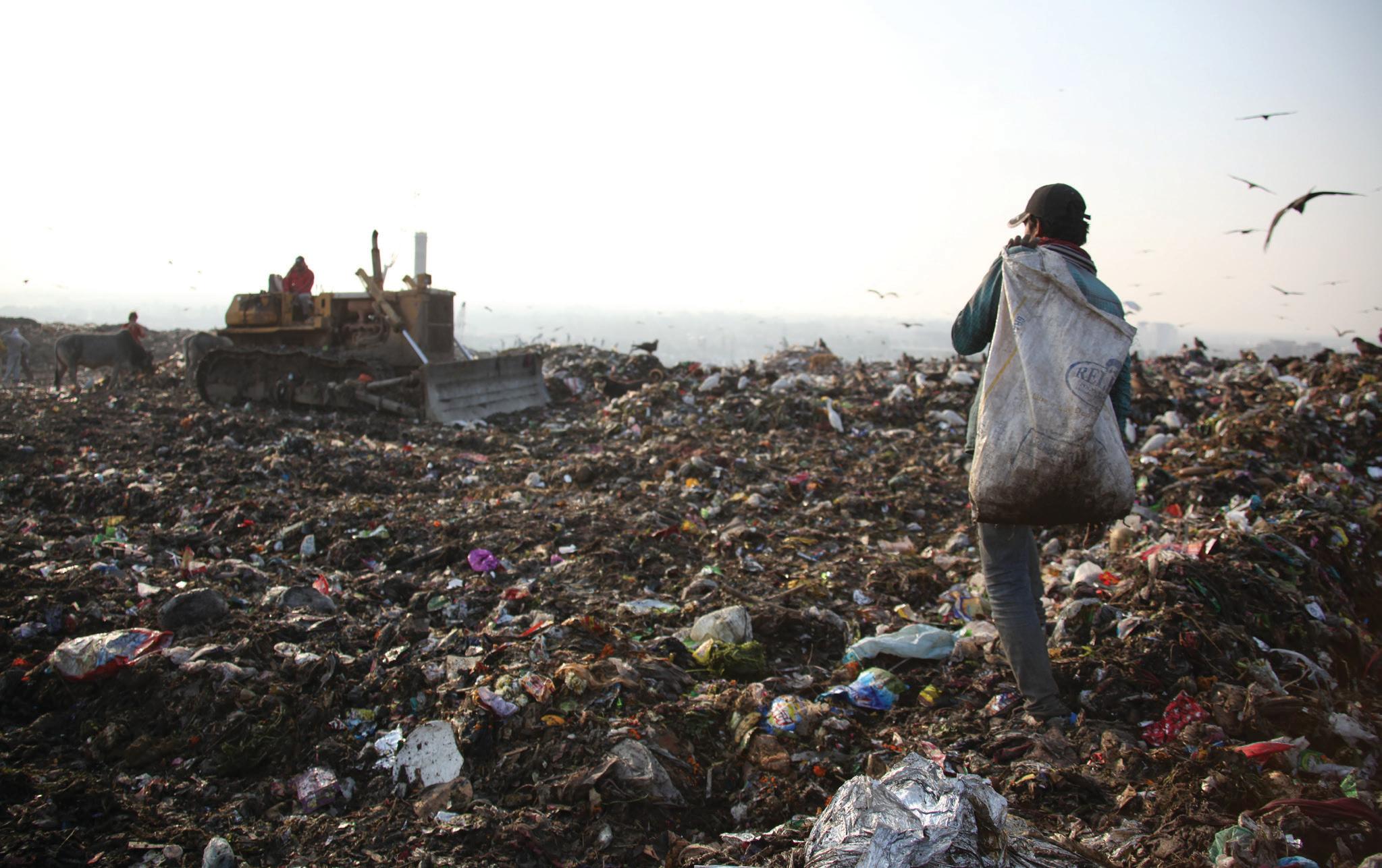 From Waste to Worth