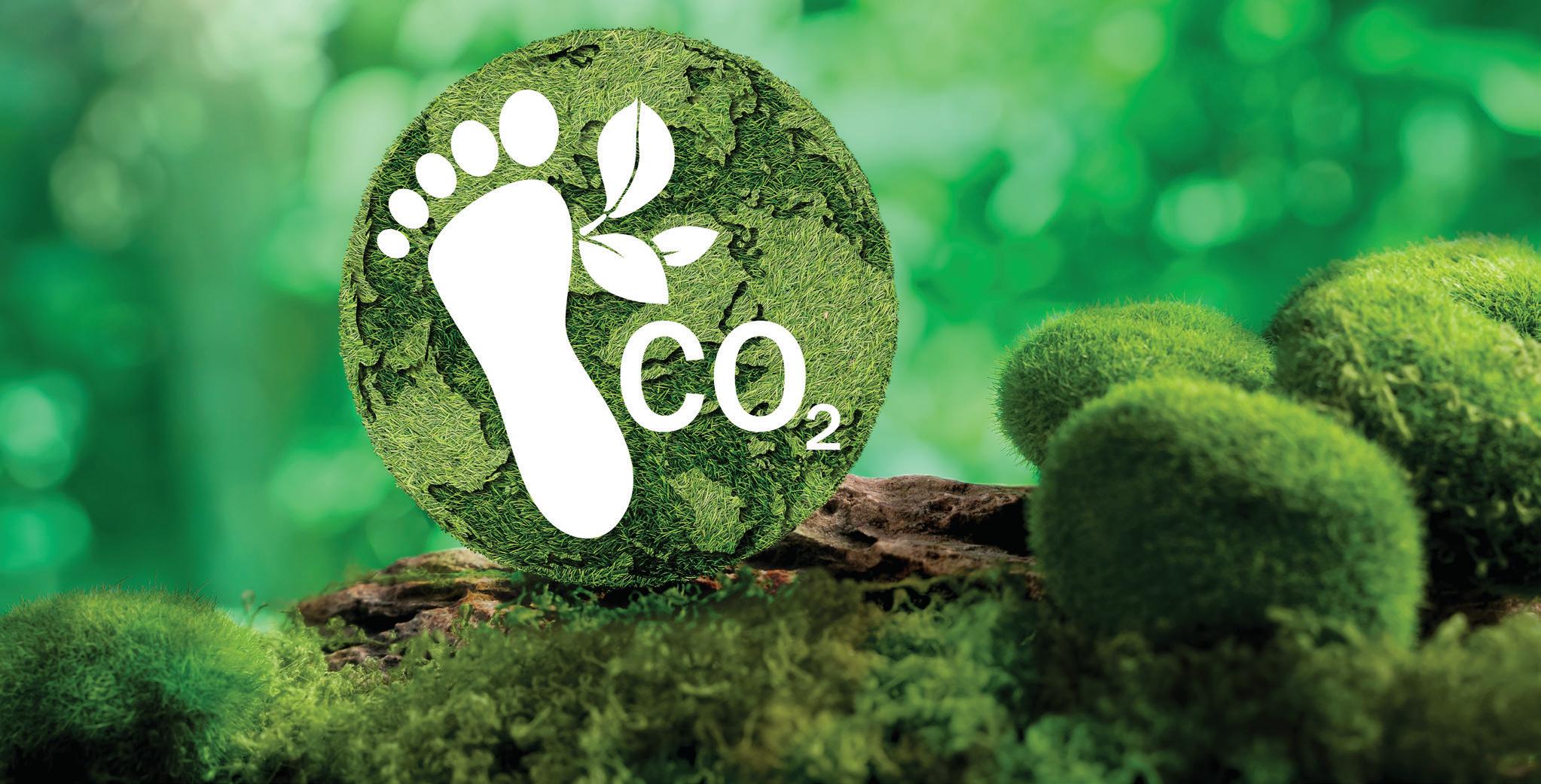 Partnerships The Catalyst for India's Carbon Neutrality Journey