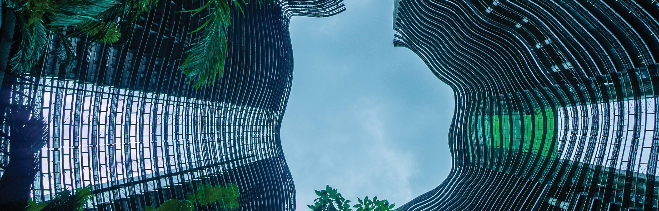 Converging Growth and Sustainability