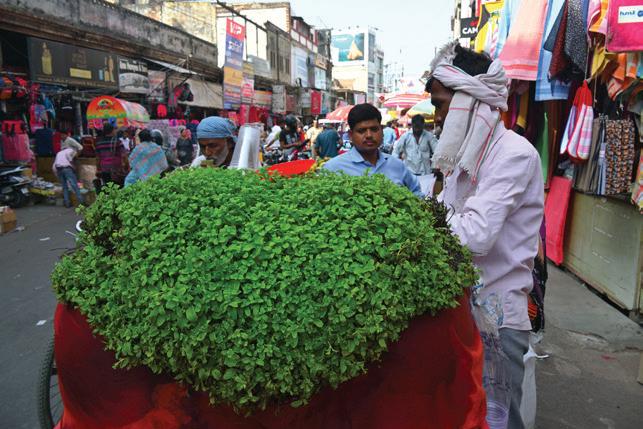 Indian Cities are Baking Here's How to Dial Down the Heat Indian Cities are Baking Here's How to Dial Down the Heat