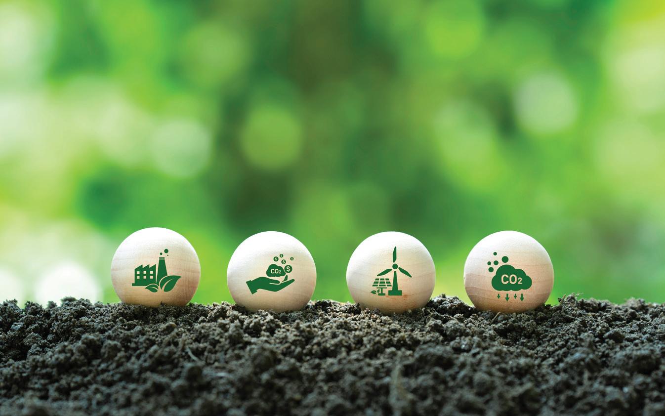 Revenue Generation and Decarbonization