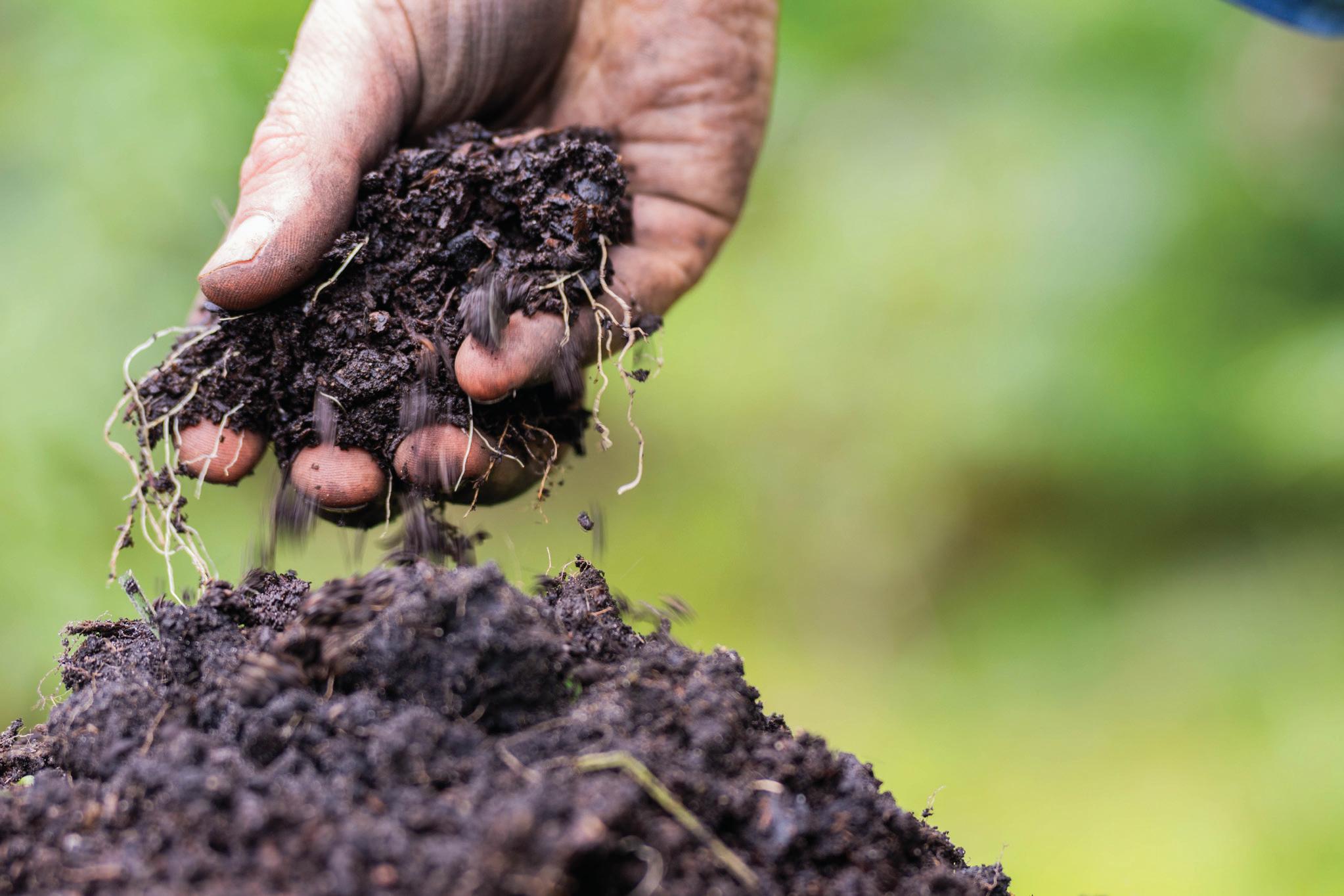 Thriving Fields Enhancing Soil Health and Crop Production with Less Inputs Thriving Fields Enhancing Soil Health and Crop Production with Less Inputs