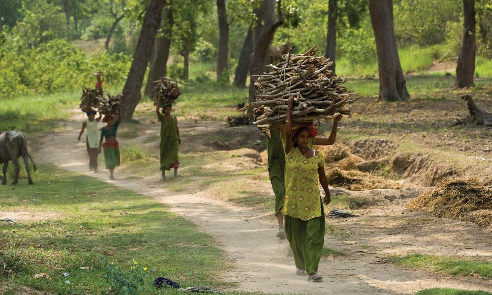 Decoding India's Leadership in South Asia for Accelerating Sustainable Development and Climate Solutions