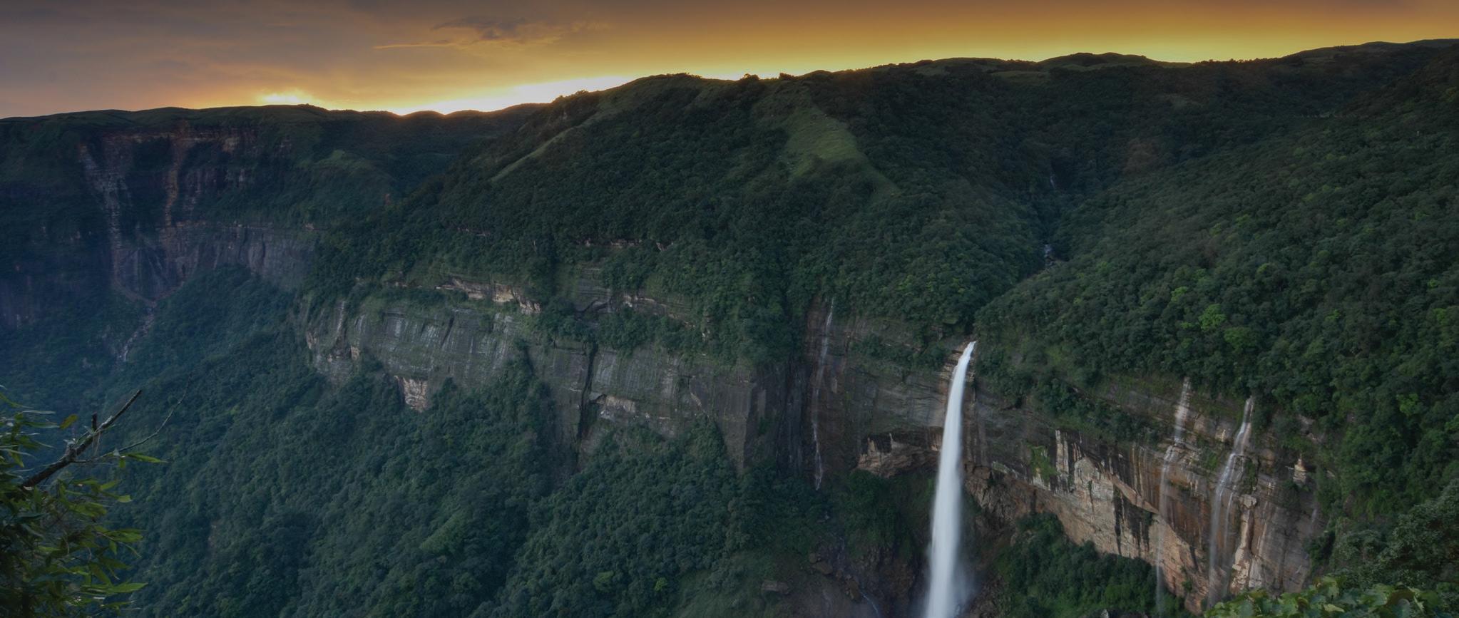 Restoring Forests, Strengthening Communities