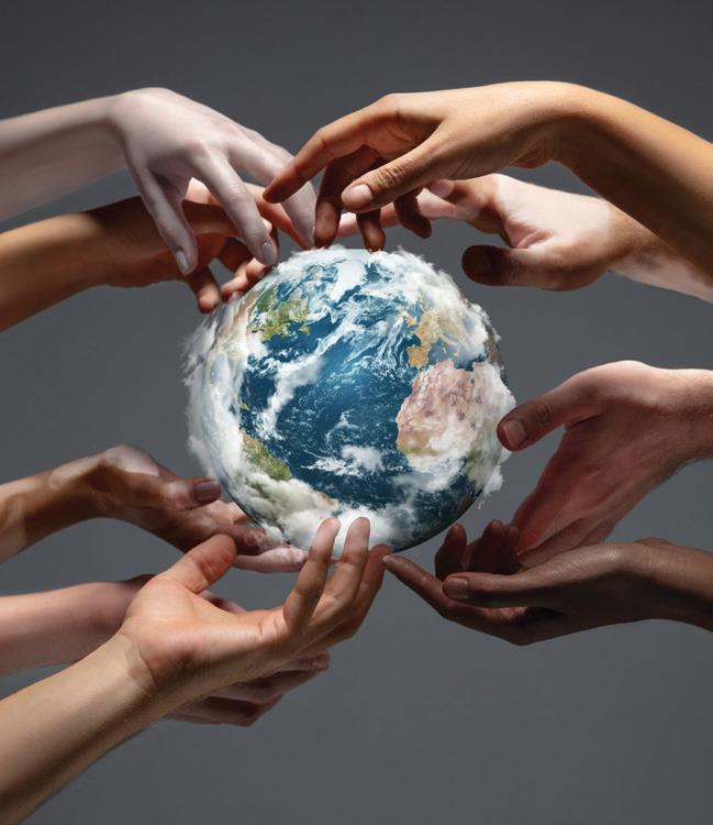 Unseen Connections How Small Partnerships Drive Big Change in Sustainability