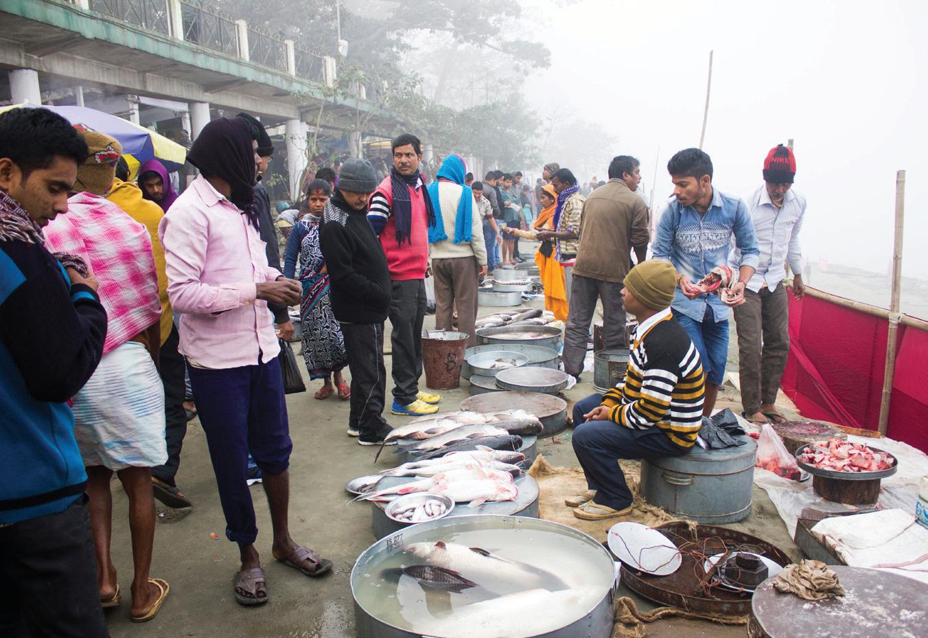Harnessing Decentralized Renewable Energy for Sustainable Aquaculture in Assam