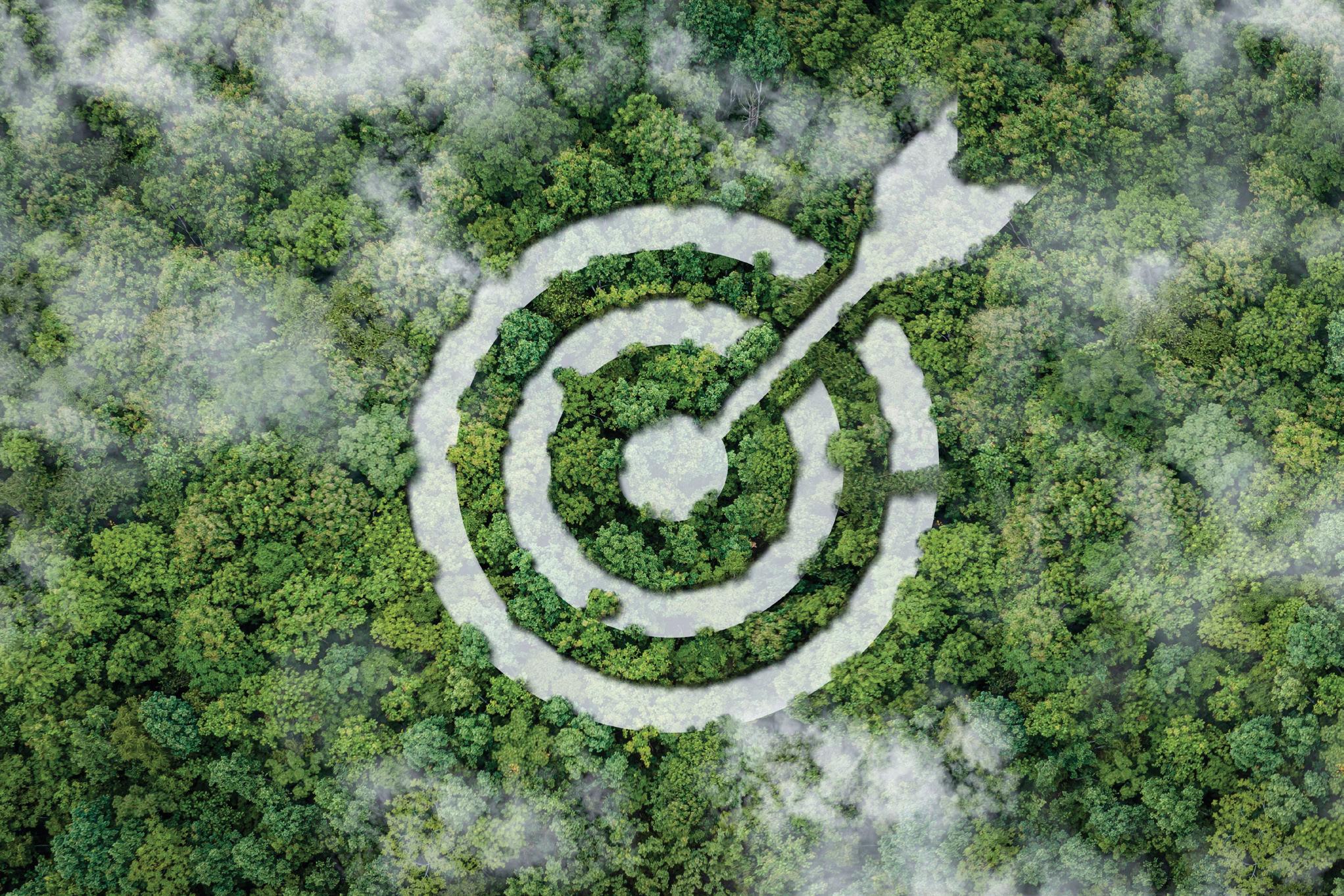 Green Public Procurement