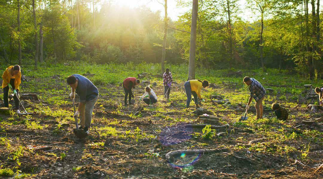 Disaster Preparedness Integrating Resilience with Livelihoods and Infrastructure Investments