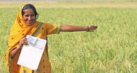 Empowering Farmers, Removing Carbon Varaha's Groundbreaking ERW Milestone in Asia