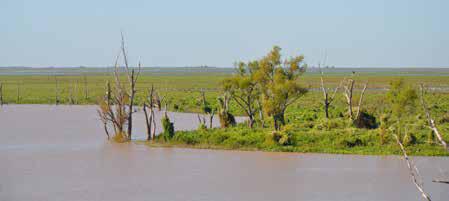 Integrated River Basin Management A Framework for Sustainable Water Governance