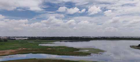 Pollution Rises in Bengaluru Lakes Post Monsoon: Study