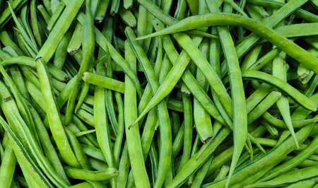 Application of Guar Gum for Oil and Gas Industry