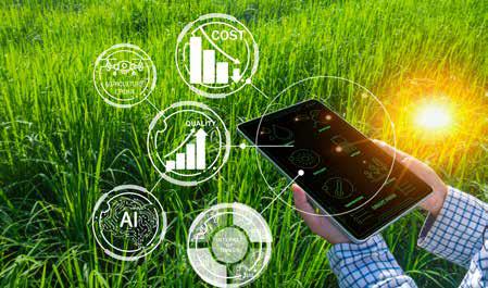 Digital Transformation in Agriculture